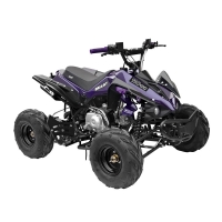 GMX 110cc The Beast Sports Quad Bike – Purple