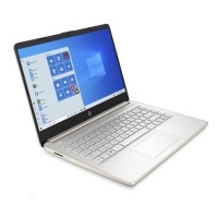 HP 8GB 256G 14-inch Notebook - Pale Gold