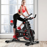Powertrain IS-500 Heavy-Duty Exercise Spin Bike Electroplated – Black