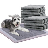 PaWz Pet Toilet Training Pads Dog Puppy Pee Bamboo Charcoal Remove Odor 200/400x