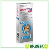 Bravecto Plus For Medium Cats 2.8 - 6.25kg 1 Pack