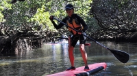 Kayak or Stand-Up Paddleboard Hire in Garden Island