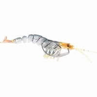 Savage 3D Shrimp Soft Plastic Lure 5in Golden