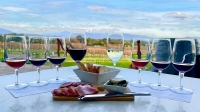 Cellar Door Experience with Tasting and Cheese Platter in Yarra Glenn
