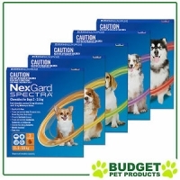 NexGard Spectra For Dogs Flea Tick Heartworm Intestinal Worm - 3 Pack